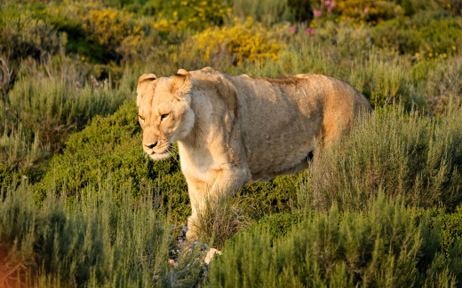 1755205 (a): :1920x1200